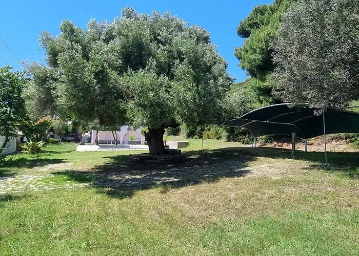 Seaside With Swimming Pool & Parking #3 *