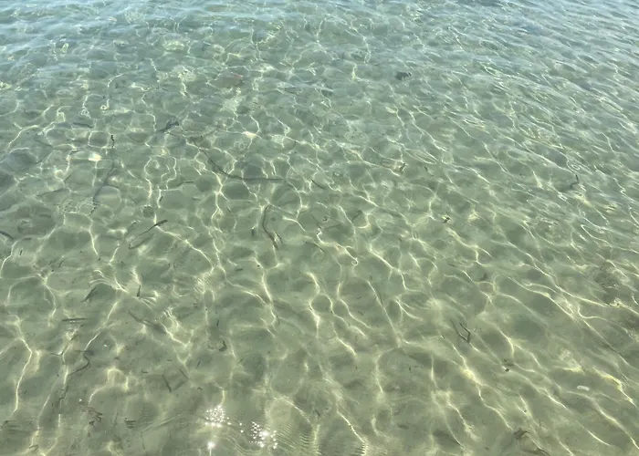 Appartement Seaside With Swimming Pool & Parking #3